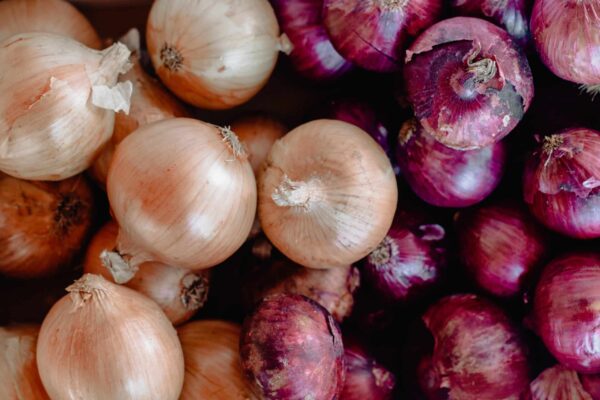 Onion